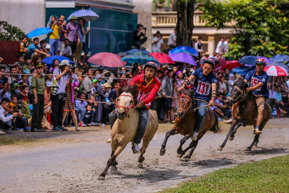 Bac Ha is in Lao Cai province where is in the North of Vietnam. There is the famous place with majestic landscape, beautiful plum blossom, peach blossom which are the all white color cover most of all the piece of the forest and piece of the sky when Spring is coming. Every year, the traditional Horse race is happened by the Highland white knights. Watching this race, you can feel the bustling atmosphere cover the Racecourse. Because this is special festival where all the guys have their daily work and take care horses join in the race. A big crowd around the stadium, cheering and betting for all riders. (Photo: Vietnam+)