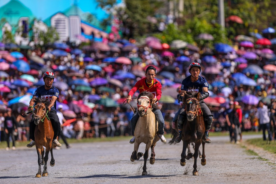 The horse racing also contributes to preserving and promoting the cultural tradition of Bac Ha ethnic minorities to domestic and foreign tourists. The horse race attracted nearly 25,000 visitors, who were also invited to other interesting sideline events, including a photo exhibition, tours to plum gardens and flower valleys, arts performances, and a rural market. Bac Ha and Lao Cai traditional horse racing tournaments are one of the special cultural and sports activities of the ethnic minorities in Bac Ha district in particular and the Northwest highlands in general. The event is part of large-scale tourism stimulus programme to fhelp the local tourism industry resume after a period of suspension due to the COVID-19 pandemic. (Photo: Vietnam+)