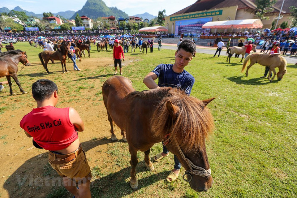 The race of the so-called 'bare-footed knights' and transport horses attract many spectators, including foreigners. Bac Ha and Lao Cai traditional horse racing tournaments are one of the special cultural and sports activities of the ethnic minorities in Bac Ha district in particular and the Northwest highlands in general. Since ancient times, Bac Ha people organized horse racing. Over a long period of hiatus, starting in 2007 the Horse Racing is held annually. What is unique about the Bac Ha race is that the racing horses are usually used to transport goods to the fields on the high and steep mountains. (Photo: Vietnam+)