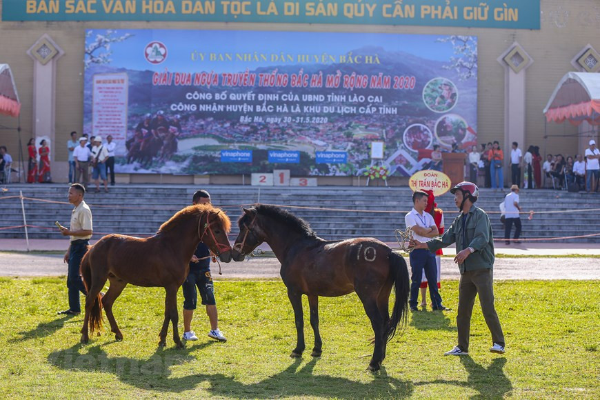 The traditional horse race takes place on the Bac Ha Plain of the northern mountainous province of Lao Cai. The Bac Ha Horse Races draw thousands of ethnic minority spectators to this scenic mountain town, making for a carnival of colour and festivity. Jockeys come from H’mong, Nung and Dzao villages all over the province, and riding bareback, compete in both team and individual races. Bac Ha traditional horse racing is a unique event in Vietnam. Tourists are extremely impressed when participating in the race is barefoot knights and horses. This year’s event is held earlier than previous ones in a bid to lure tourists to the northern mountainous province following the impacts of Covid-19 epidemic. (Photo: Vietnam+)