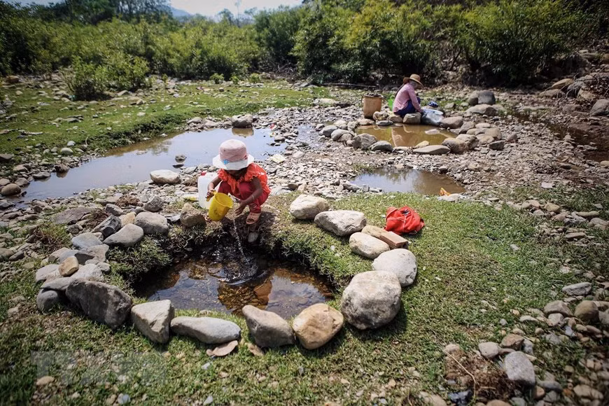 People in Ta Noi village, Ninh Son district have to draw water from the turbid puddles for daily use (Photo: VNA)