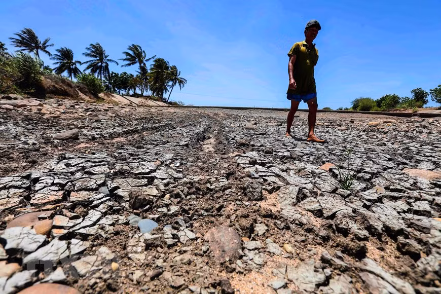 A local man walks on the Lu River, Thuan Nam district (Photo: VNA)