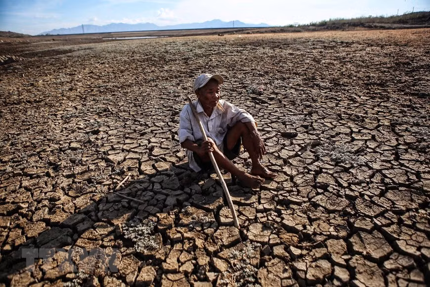 A farmer in drought-stricken area in Ninh Thuan worries about his life due to the impact of prolonged drought (Photo: VNA)