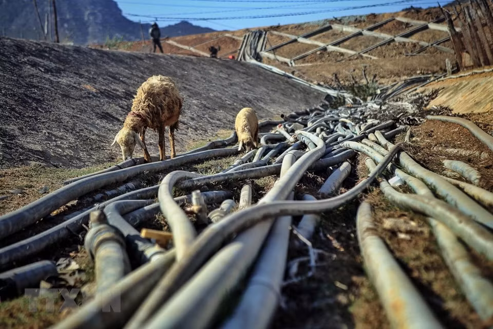 Bare water pipes at Ong Kinh reservoir, Ninh Hai district (Photo: VNA)