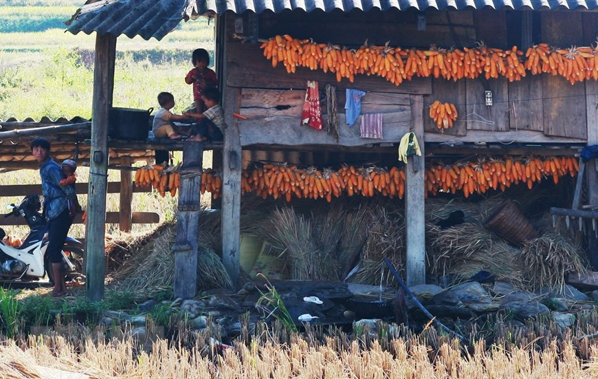 Trips to Mu Cang Chai are great journeys not only to admire the impressive landscapes of Mu Cang Chai’s terraced rice fields – the most beautiful ones in the world, but also to get great insights of local ethnics' cultures (Photo: VNA)