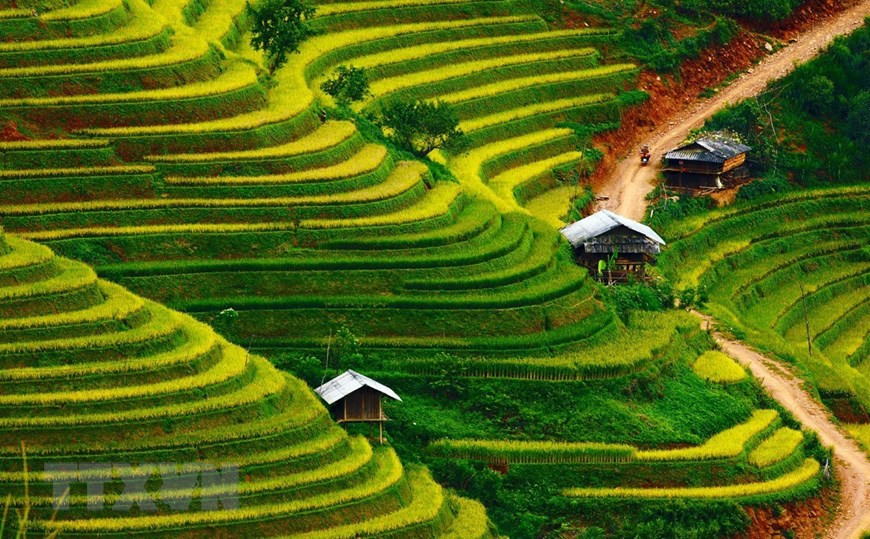 Everywhere in Mu Cang Chai are rice terraces of multi-layers that create picturesque Mu Cang Chai landscapes (Photo: VNA)