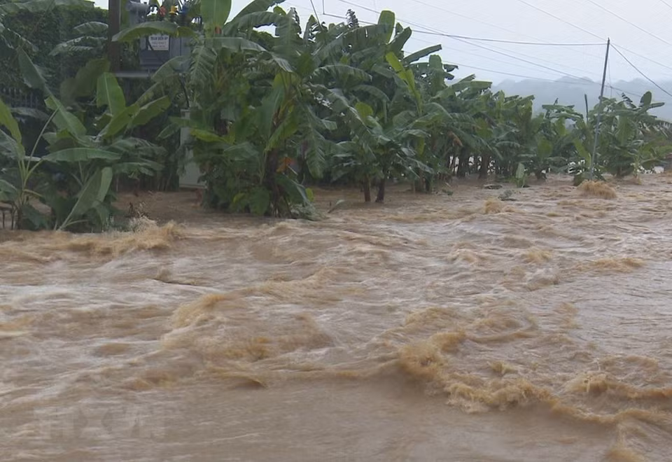 Floodwater in Moc Chau district, Son La province (Photo: VNA)