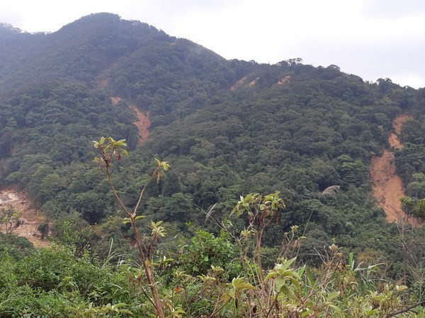 (Photo: Thuy Tran/Vietnam +)