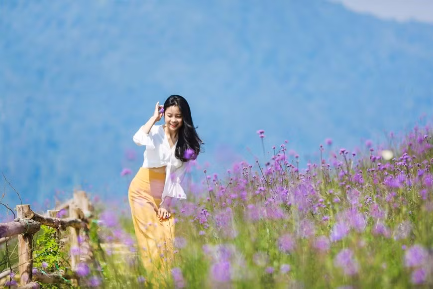 The flower valley draws thousands of visitors far and wide (Photo: VNA)