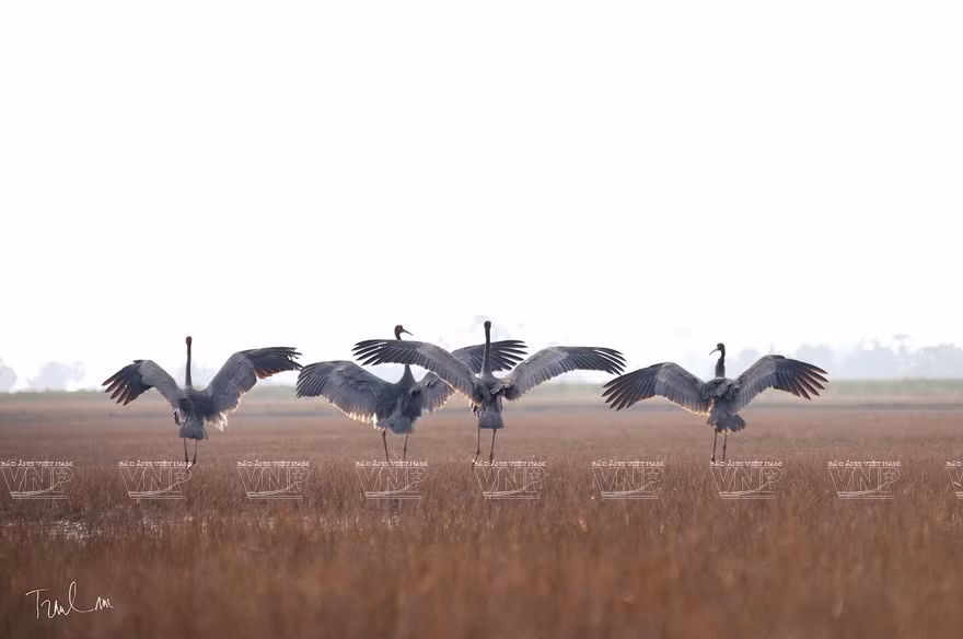 A photo displayed at this exhibition (Photo: VNP/VNA)