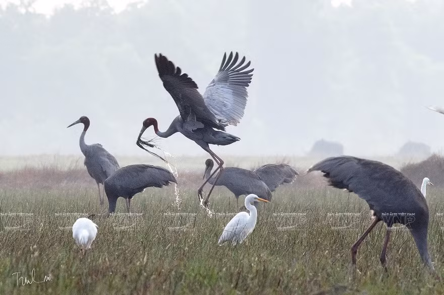 A photo displayed at this exhibition (Photo: VNP/VNA)