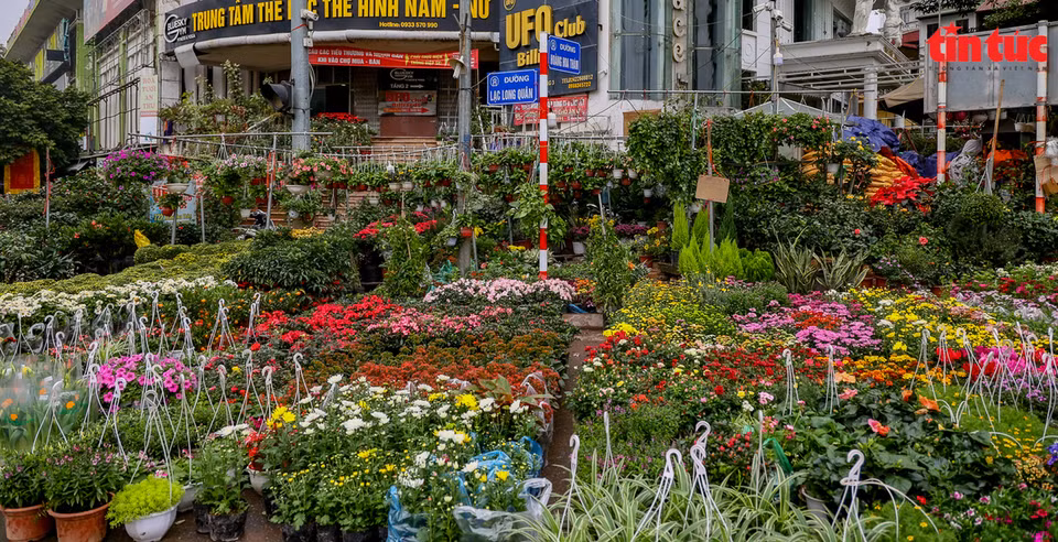 A flower market on Hoang Hoa Tham Street bustles with activity. (Photo: Tin tuc/VNA)