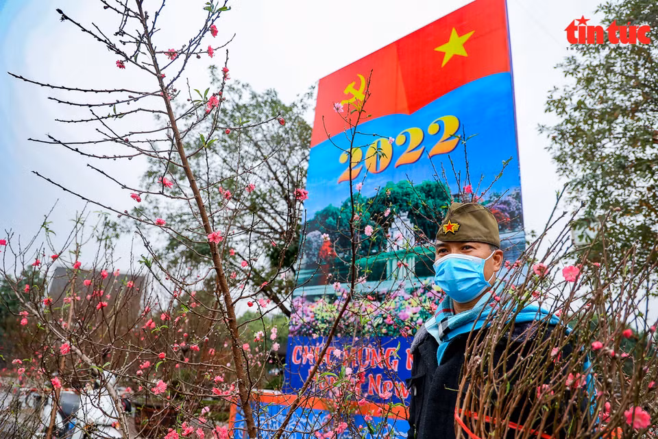 An ornamental plant market full of peach blossoms. (Photo: Tin tuc/VNA)