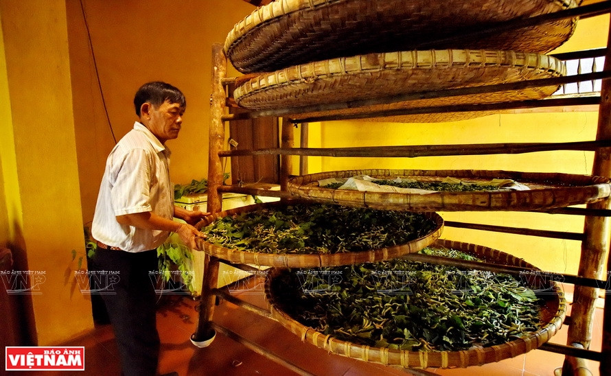 Quang Nam people have a 400-year tradition of raising silkworms (Photo: VNA)