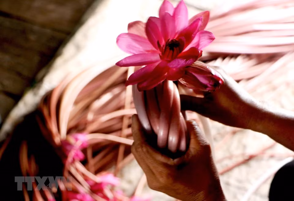 Water lily stem is used in many local dishes (Photo: VNA)