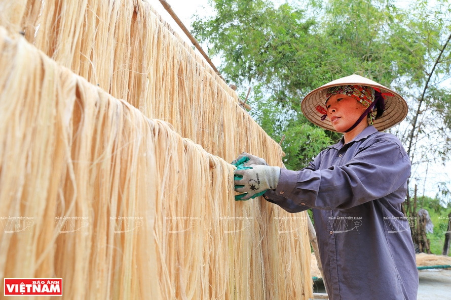 Following the preliminary processing, banana fibres are dried under the sun. (Photo: VNP/VNA)