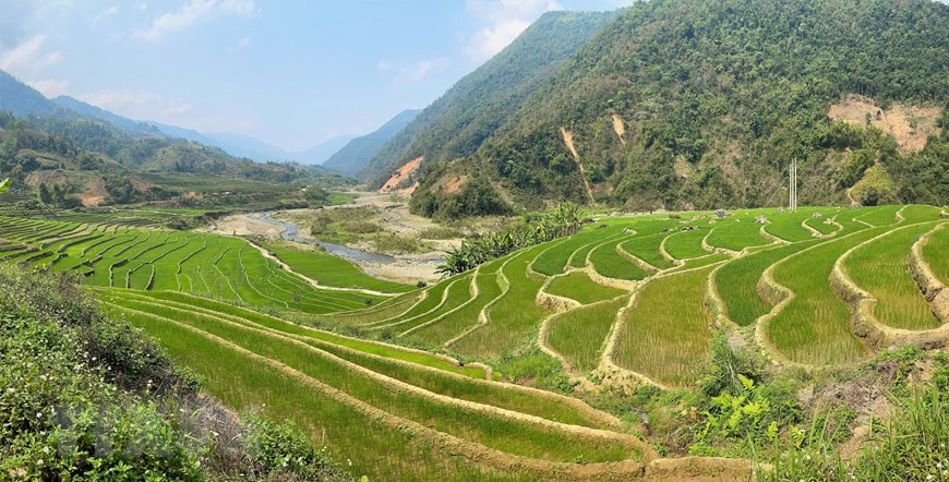 Terraced rice fields in mountainous Muong Te border district of Lai Chau province (Photo: VNA)