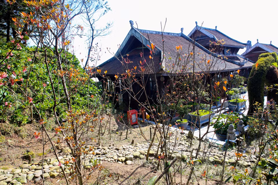 Da Nang's Ba Na Hills look more attractive and impressive with bell-shaped peach blossoms. (Photo: VNA)