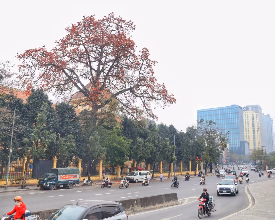 A corner of a museum in Hanoi becomes brighter and more mysterious in March. (Photo:VNA)
