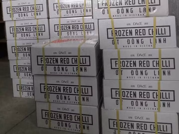 At the beginning of the epidemic season, orders to the Republic of Korea, Japan increase strongly at Dace. Dace company concentrates on developing a selected range of important organic spice products: ginger, chili, turmeric, garlic and lemongrass. DACE runs a factory in Hanoi to ensure the supply of products to its customers. Next to the supply of organic spices for export, it is developing processed products and organic spices for the domestic market.Together with farmers Dace have obtained the organic certifications for Europe, USA and Japan for the cultivation and the processing of ginger, turmeric, garlic, chili and lemongrass. DACE’s organic products have been being exported to Europe, USA, Korea, Japan, Australia, Russia and the Middle East. (Photo: Vietnamplus)