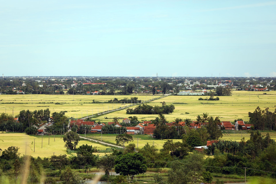 Villages dotted among golden rice fields in Tay Hoa district. (Photo: VNA)