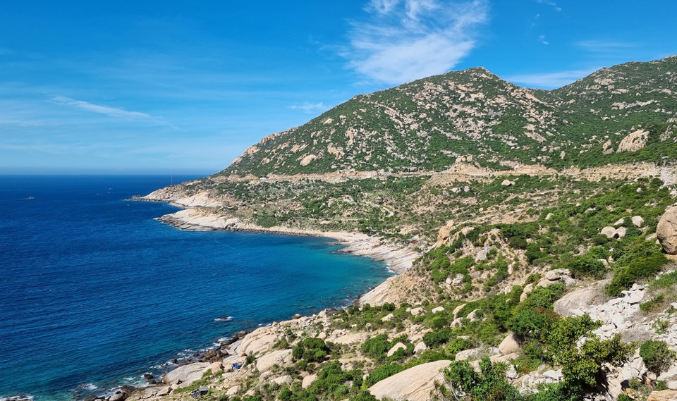 The Thuan Nam coastal protected forest in Thuan Nam district forms a shield mitigating the impact of natural disasters. (Photo: VNA)