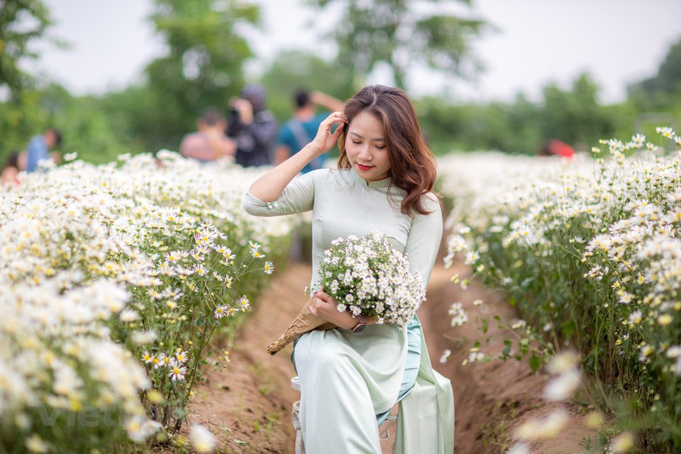 Each person has their own way of posing as they want to capture beautiful moments with the flowers, which are only in full bloom once a year. (Photo: Minh Son/Vietnam+)