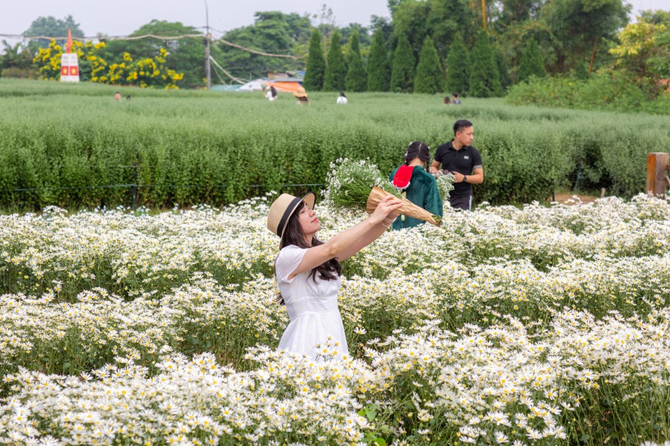 Visitors passionately pose individually or in groups. They don’t want to miss a chance to capture wonderful moments with the flowers. (Photo: Minh Son/Vietnam+)