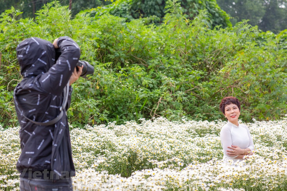 It is said each month in Hanoi is marked by the appearance of its own flower, offering an ideal time for locals to take photos with the blooming flowers as the seasons transition. (Photo: Minh Son/Vietnam+)