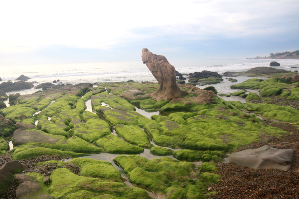 In recent years, the area has seen thousands of people, mostly photographers, coming to capture images of the rocks at sunrise and sunset. (Photo: VNA)