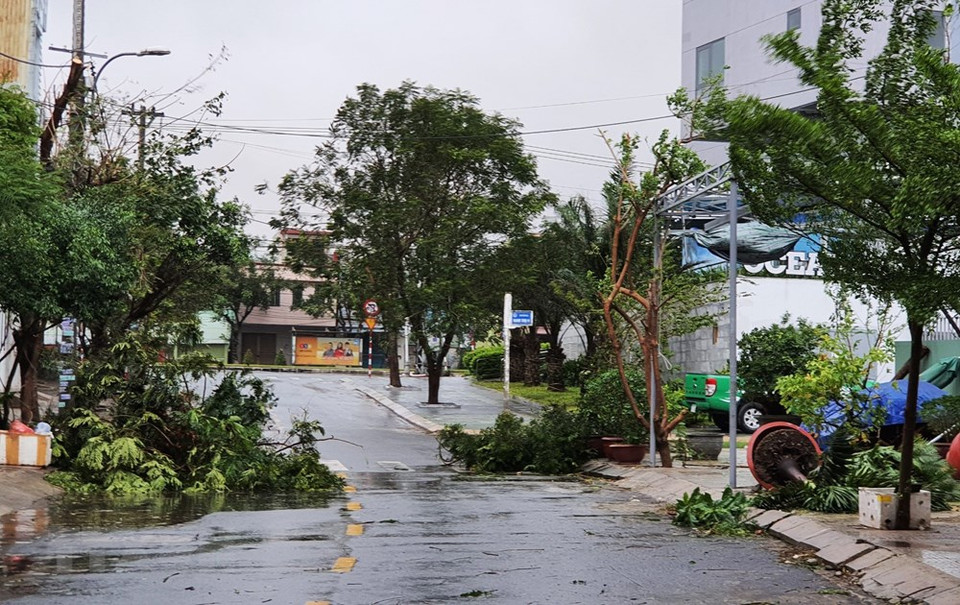 Trees fall down at some streets in Son Tra district (Photo: Van Dung/VNA)