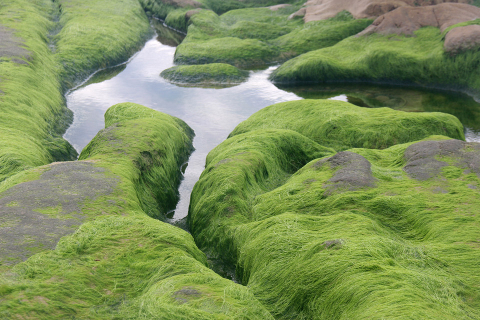 In the sunshine, the rocks and clean water create a beautiful landscape. (Photo: VNA)