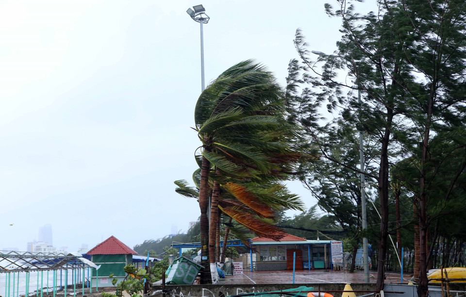 Strong gusts at the coastal Nguyen Tat Thanh street (Photo: Van Dung/VNA)