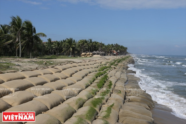 Sand-bag dams are among measures to prevent sea invasion. (Source: VNA)