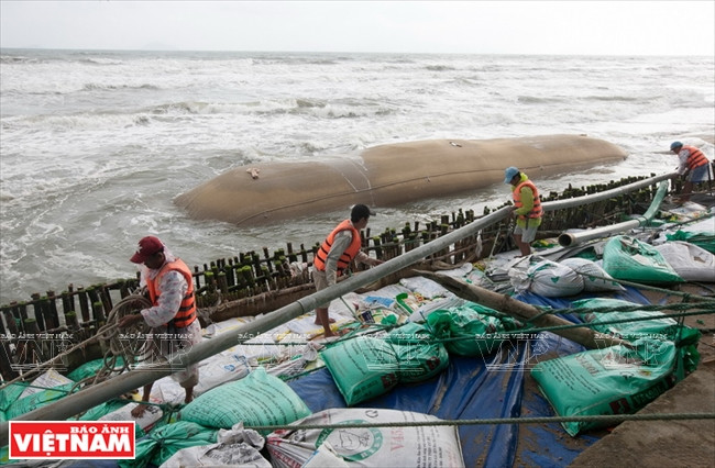 Workers make sand dams in the beach. (Source: VNA)