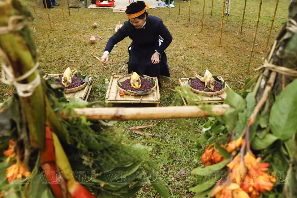 Offerings presented to Nang Hai are meticulously and carefully prepared. (Photo: VNP/VNA)
