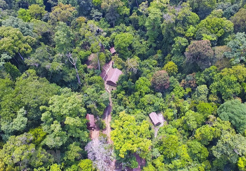 French colonialists took advantage of the three hills in the complex of Hill D (Dominique) to build a strong defensive position (Photo: VNA)
