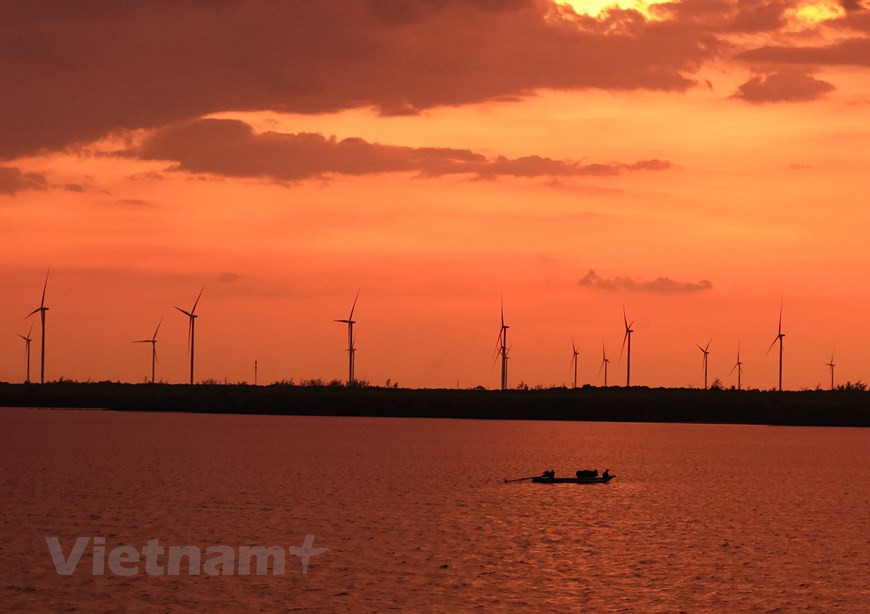 From a distance, the wind power farm resembles a vast garden with a sea of white pinwheel flowers blooming amid pinkish-brown alluvial soil. (Photo: VNA)