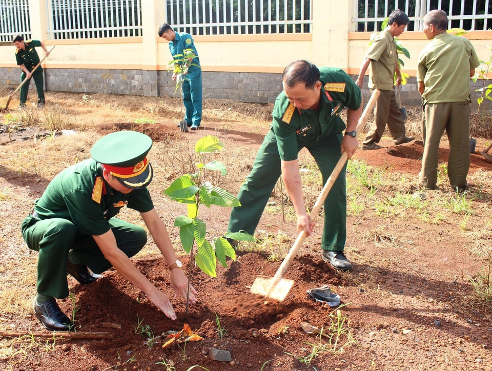 People join hands to grow 2,000 new trees in the southern province of Binh Phuoc (Photo: VNA)
