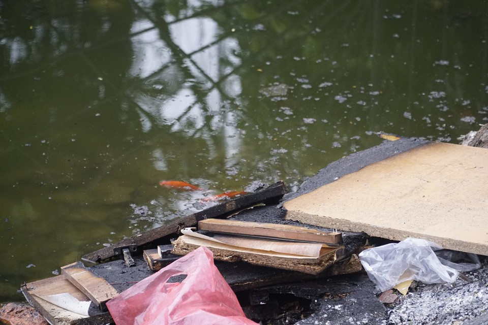 Fish are trapped in mud and polluted water. The Vietnamese traditional New Year (Tet) festival actually begins on the 23rd day of the last month of the lunar year, which falls on February 4 this year, with the “Ong Cong - Ong Tao” (Land Genie and Kitchen Gods) ritual. On this day, people cook or buy many delicacies to offer to the gods, clean and decorate the family’s altar with flowers and fruits and burn paper clothes and paper carps for use by the gods on their journey to heaven. It is also a tradition to release live carps in rivers and lakes as a means of transport for the gods and also as a sign of good deed to invite good luck. (Photo: VietnamPlus)