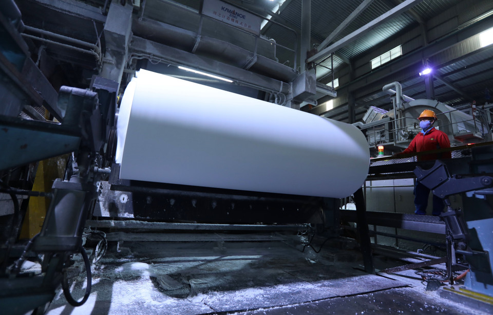 Paper production chain at Bac Giang Import-Export Joint Stock Company (Photo: VNA)