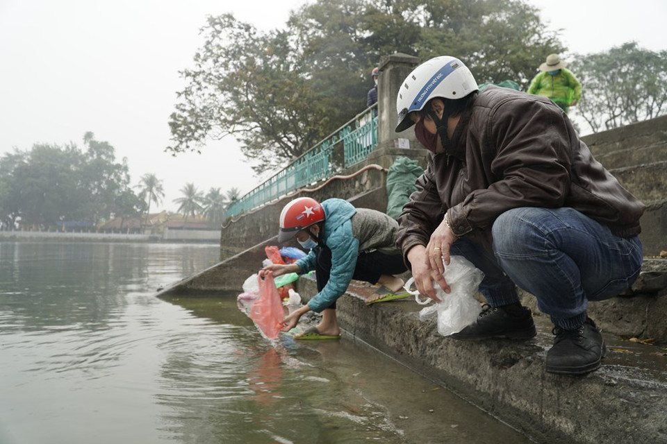 People release carps on the Kitchen Gods day on Thanh Nien Street. Large lakes around Hanoi like West Lake were filled with plastic bags and incense burners that were released with the fish in previous years. Furthermore, many people are actually throwing the fish to their deaths. According to Thich Tinh Giac, a monk, releasing carp is an act to honour life so pollution should not be tolerated. Many lakes and rivers in Hanoi have been polluted. The problem came into spotlight after more than 100 tonnes of fish washed up dead in the West Lake in 2016. The city subsequently announced plans to splash out 16.2 trillion VND (701.9 million USD) on a sewage treatment project. (Photo: VietnamPlus)