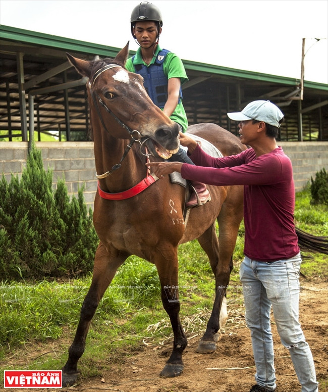 Horse owners can bring their horses to Thien Ma racetrack to participate in horse races (Photo: VNA)