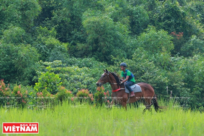 The racetrack is built in the Madagui Forest City, 145 kilometers south of Da Lat, which has an ideal environment for racehorses (Photo: VNA)