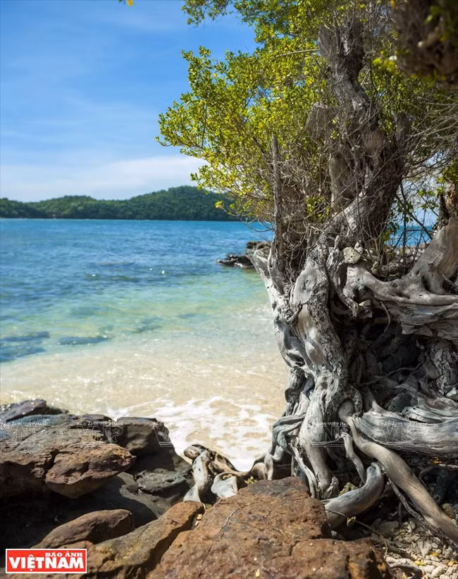The pristine beauty of Hon Thom Island (Pineapple Island) (Photo:VNA)