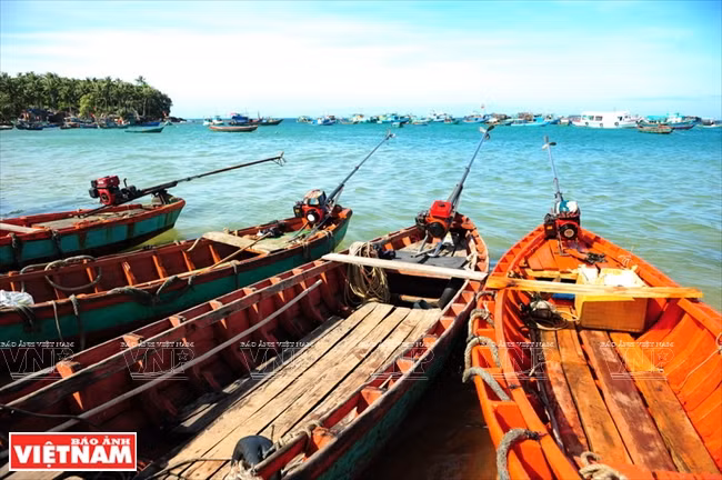 At the An Thoi archipelago, tourists can follow local fishermen to learn to fish (Photo:VNA)