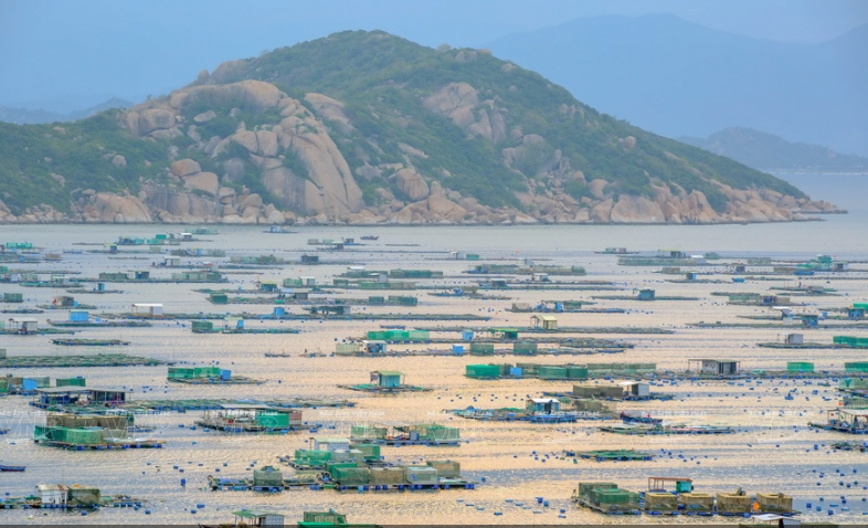 Binh Ba in Cam Ranh City (Khanh Hoa provine) is considered as the "lobster island" because it is home to a lot of lobster farms. Loster farming is the profession which brings the main income for the islanders (Photo: VNA)