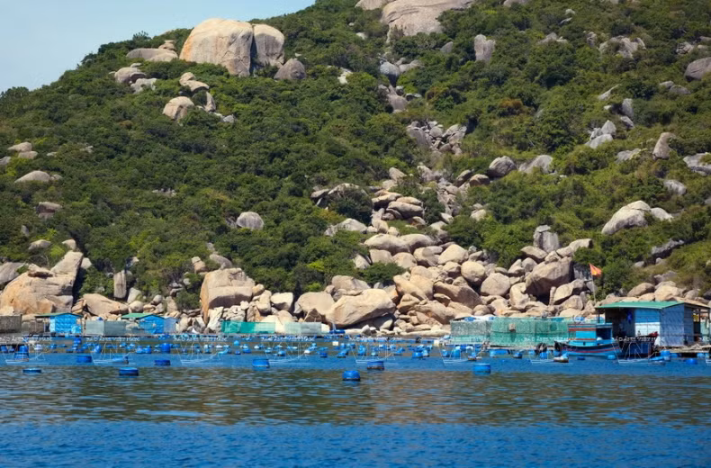 Rock cliffs and hills are favorable conditions for lobster farming (Photo: VNA)