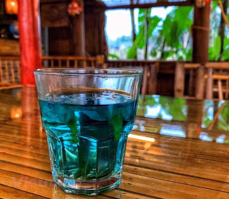Lac village in Mai Chau district of Hoa Binh province. It's become a great destination for anyone seeking tranquility away from urban luxuries. Here the atmosphere is rich, culture is more and more attractive than ever. A lively gateway to the highlands of the Northwest. Many people call that the Lac is a tourist center of Mai Chau district. Because of the beautiful scenery and the great things it offers, it satisfies travelers with their own names. So gradually it becomes a certain point to arrive at Peace.Drinking Asian pigeonwings tea amid untouched natural scene is a pleasant experience for visitors to Lac village, Mai Chau district of the northern mountainous province of Hoa Binh. (Photo: Xuan Mai/Vietnam+)