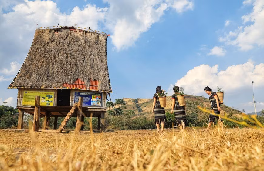 Chu Dang Ya volcano and Chu Nam mountain range in the legendary bazan soil land of Gia Lai (Photo: VNA)